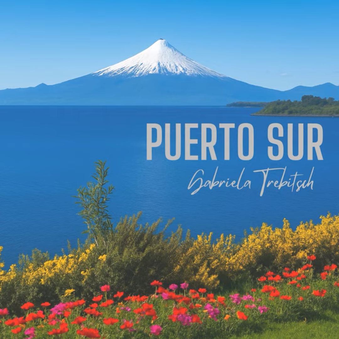 Gabriela Trebitsch, Nuevo single «Puerto Sur» dedicado al sur de Chile