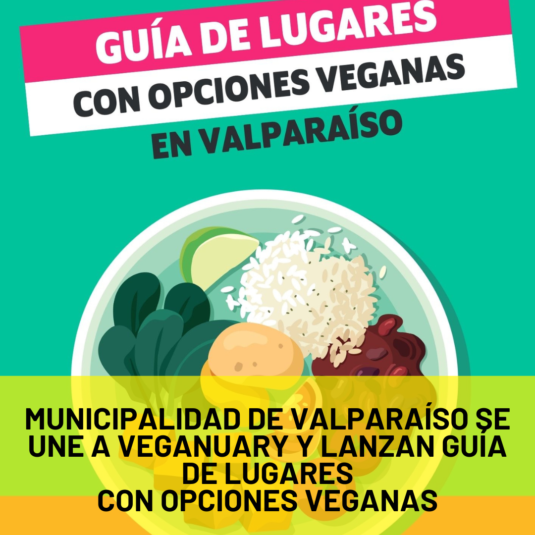 Municipalidad de Valparaíso se une a Veganuary y lanzan guía de lugares con opciones veganas.
